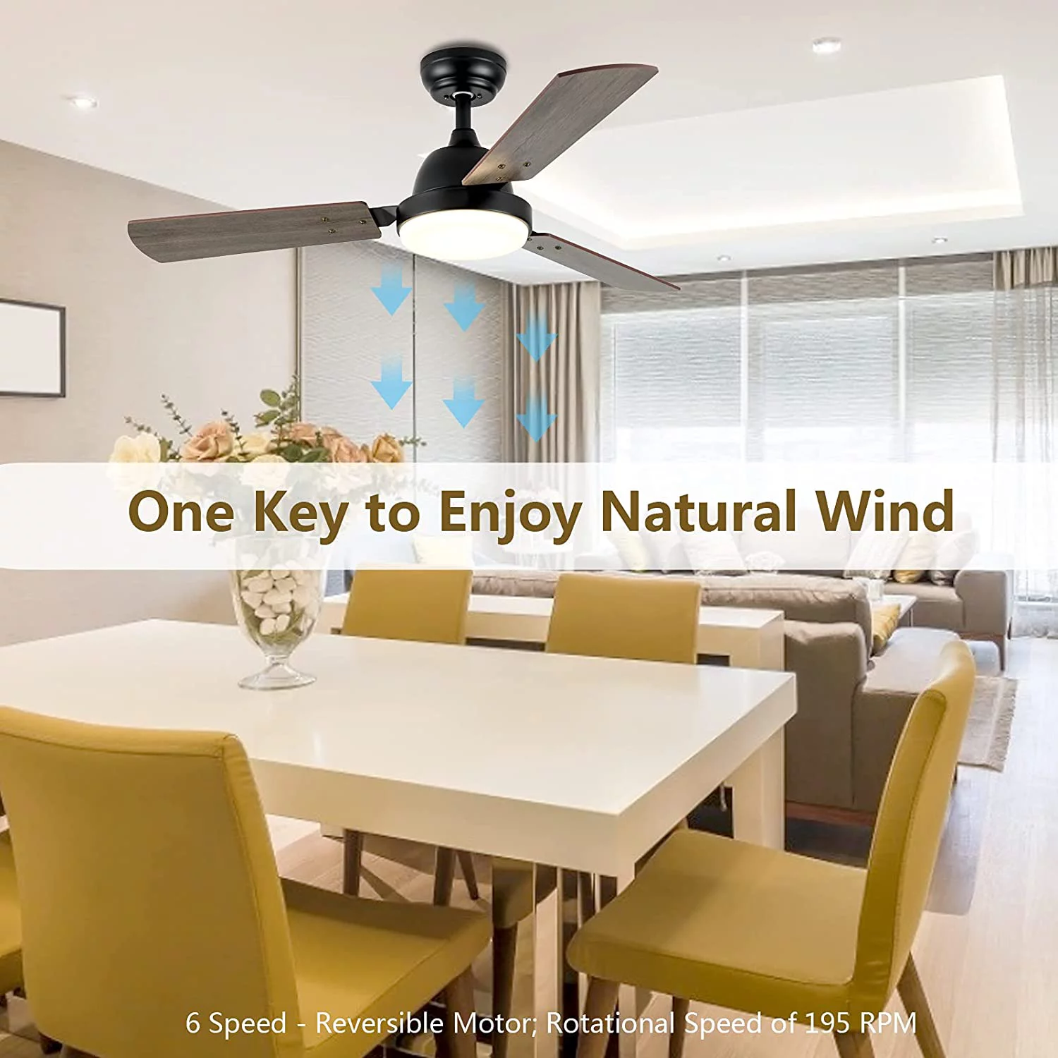 Hottes Light Wave 44' Ceiling Fan with LED Light and Remote Control in Distressed Koa Finish