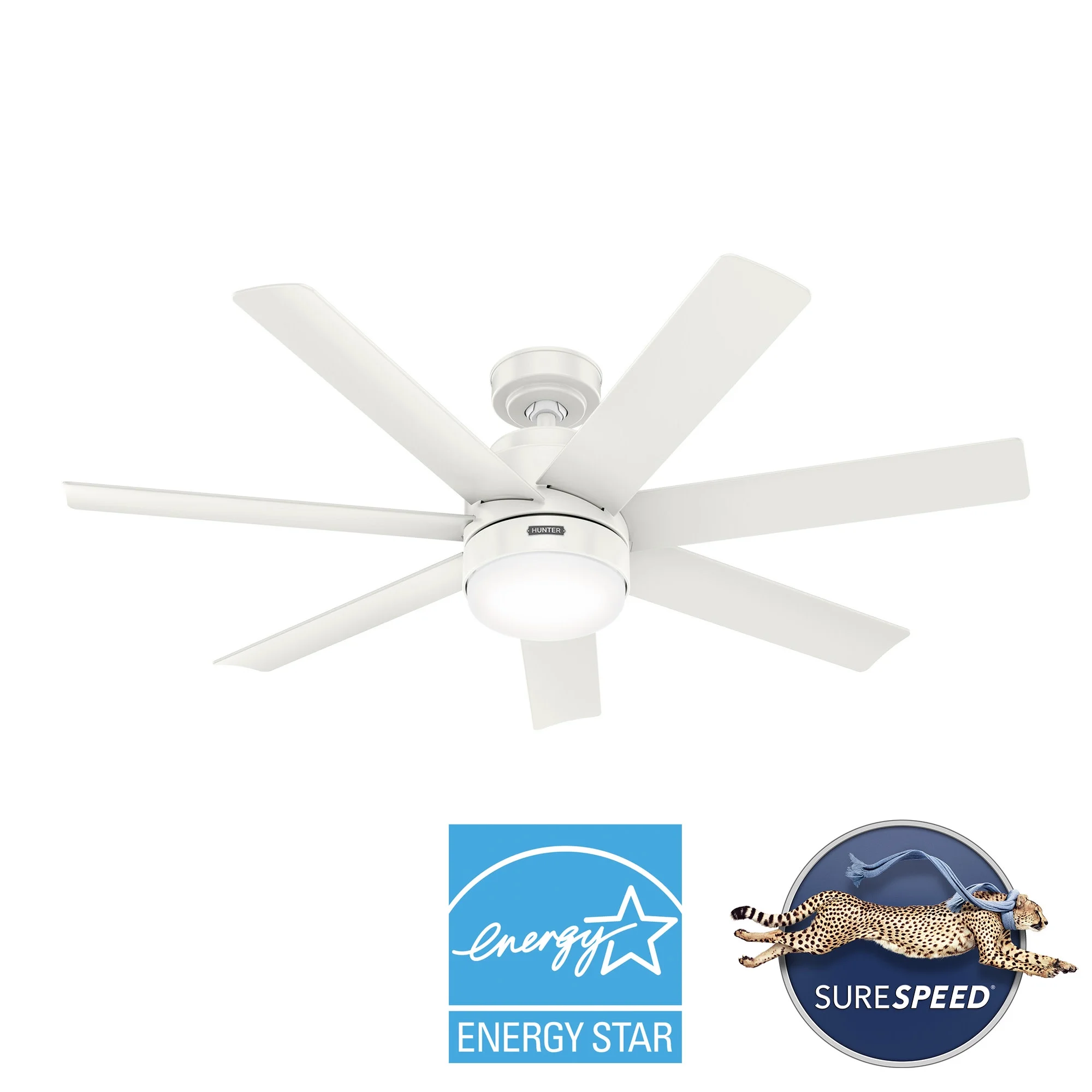 Hunter 52 inch Brazos Fresh White Damp Rated Ceiling Fan with LED Light Kit and Handheld Remote