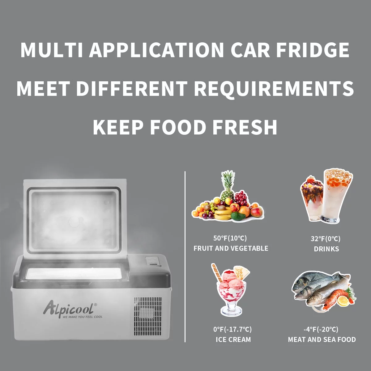 Alpicool C20 Car Freezer, Portable Car Refrigeartor 21 Quart(20 Liter), 12 Volt Fridge Freezer for Car, RV, Truck, Camping, Outdoor and Home 12/24V and 100-240V