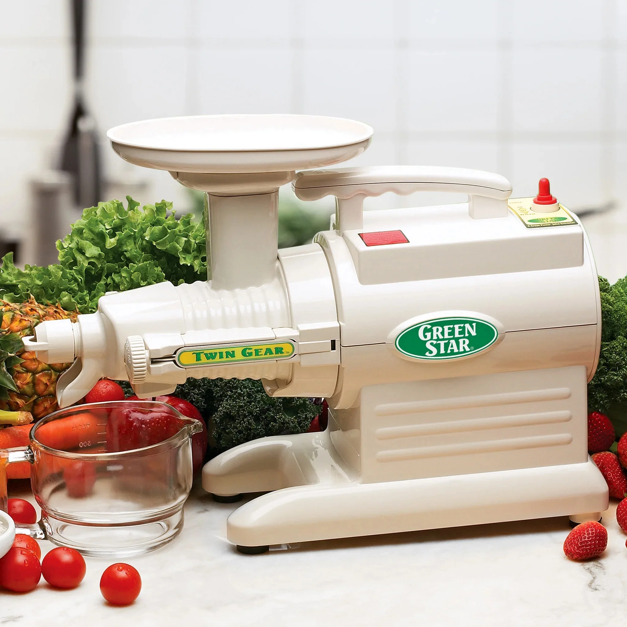 Greenstar? Original Basic Twin Gear Slow Masticating Juicer