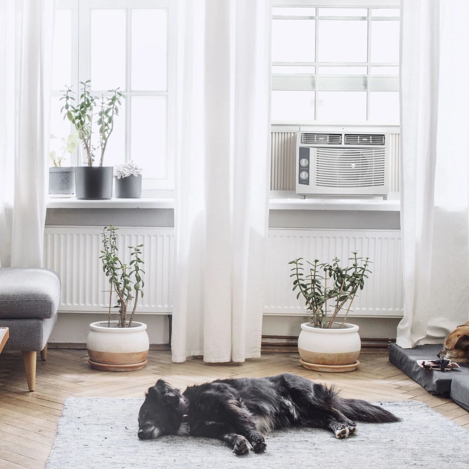 Arctic Wind 5,000 BTU 150 sq ft 115V Window Air Conditioner with Remote, White,2AW5000MSA