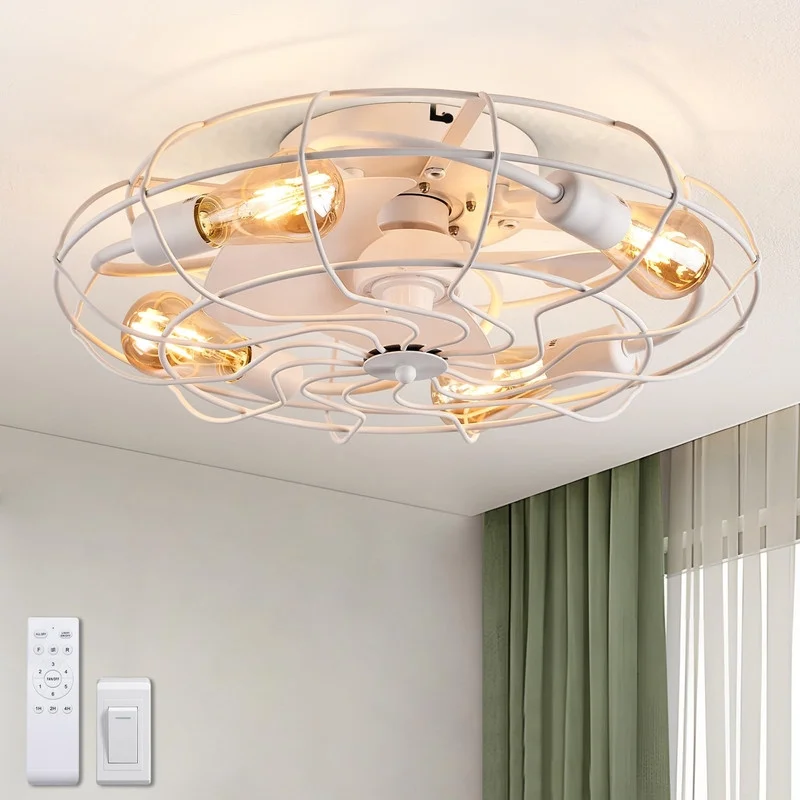 HOOMEDELIER 20' Caged Ceiling Fan with Light,3 Blades Indoor Ceiling Fan with Remote - White