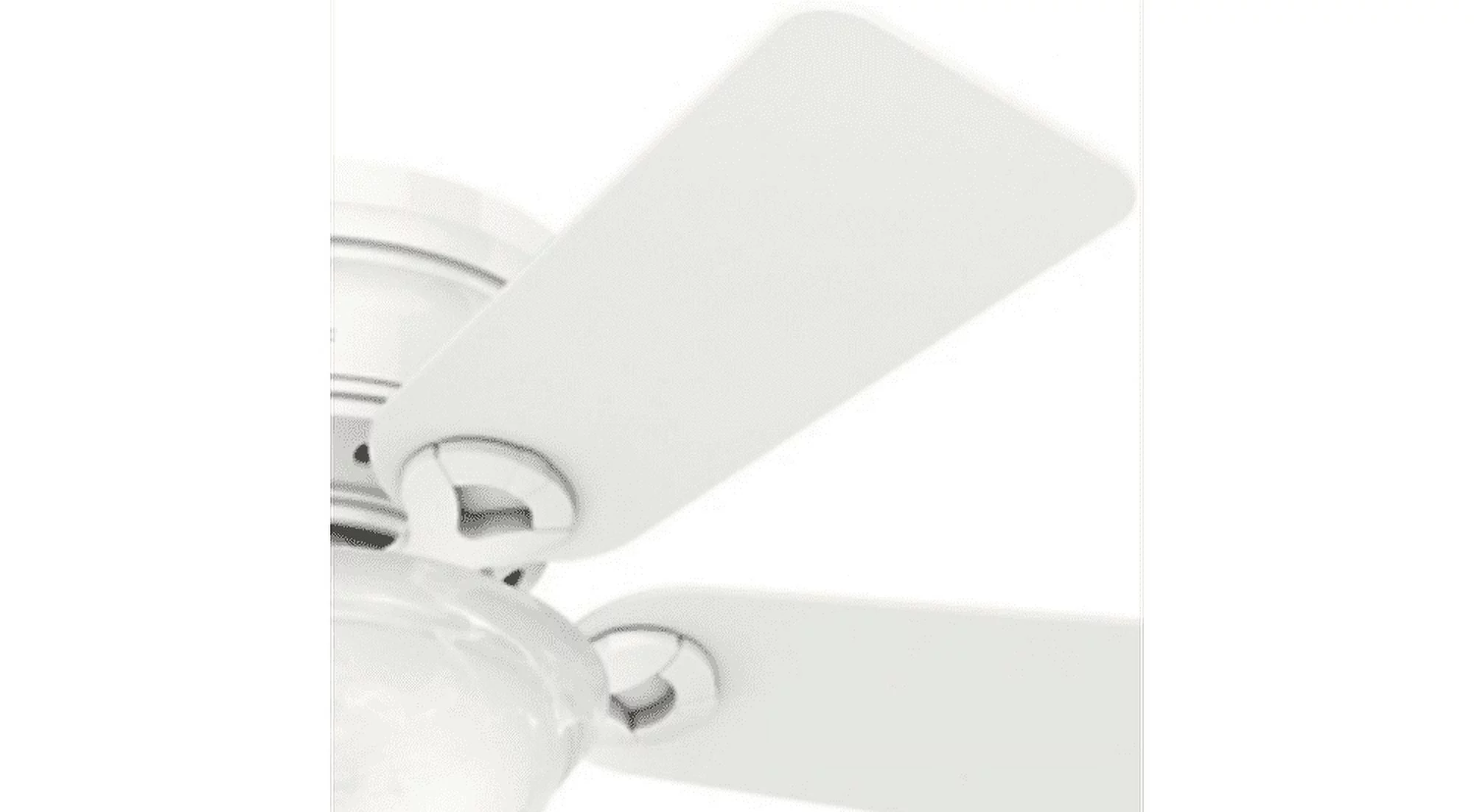 Hunter Fan Company Conroy 42 Inch Low Profile Ceiling Fan w/ Light, Onyx Bengal