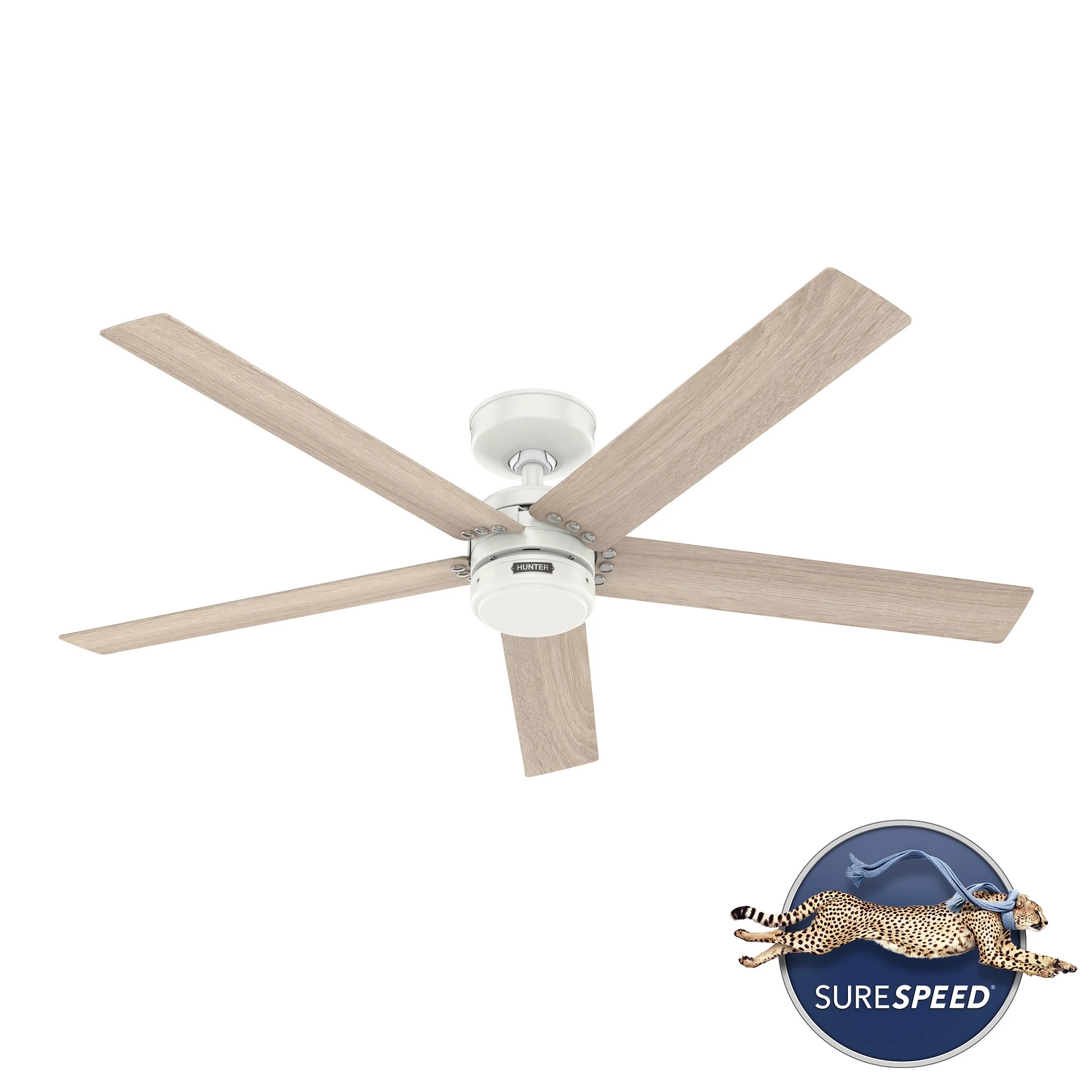 Hunter 52 inch Burton Fresh White Damp Rated Ceiling Fan and Wall Control