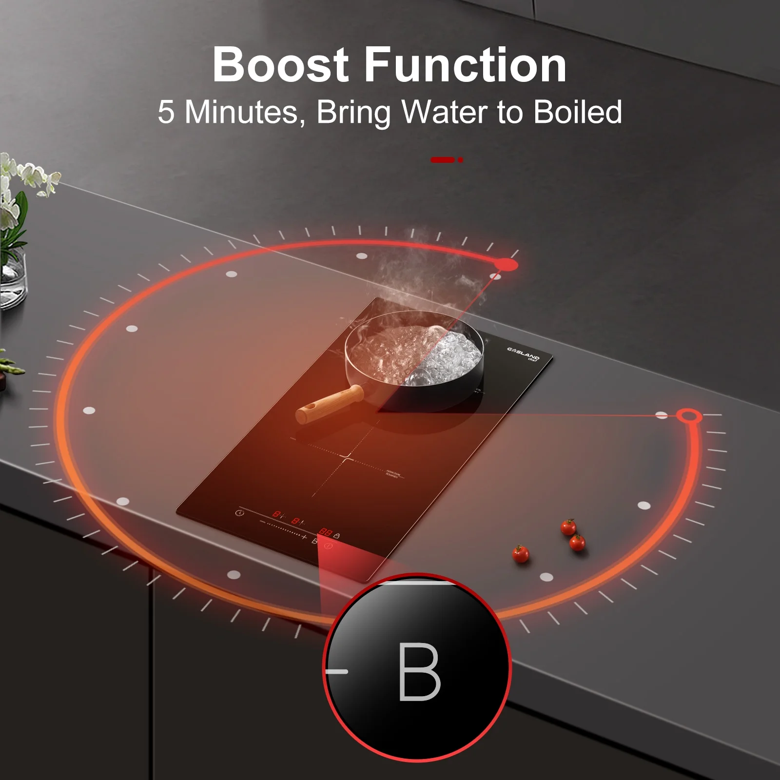 GASLAND Chef IH30BF 12' Electric Cooktop Built-in 2 Burner Induction Stovetop 240V