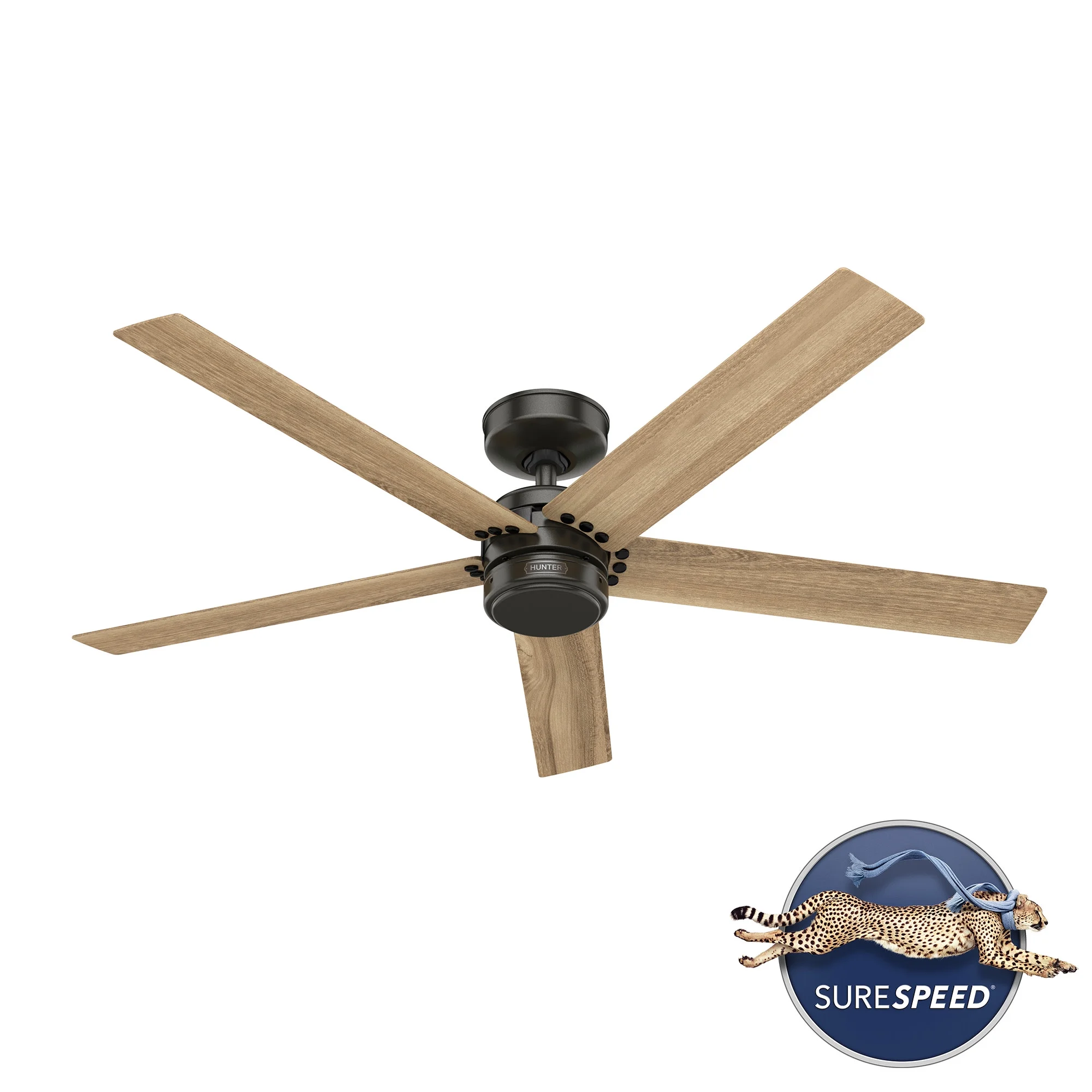 Hunter Burton 52 Burton 52' 5 Blade Indoor / Outdoor Ceiling Fan - Bronze