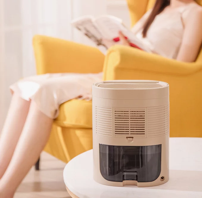 Dehumidifier 1000ml/day, Silent Electric Dehumidifier with 2500ml Tank, Continuous Drainage, Timer ��24h, Dehumidification of rooms up to 5 m2/30m3 Khaki