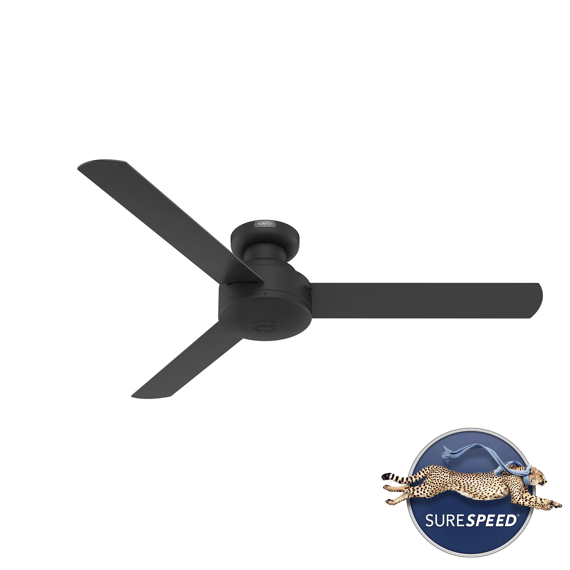 Hunter Presto 52 Low Profile Presto 52' 3 Blade Hugger Indoor Ceiling Fan - Black