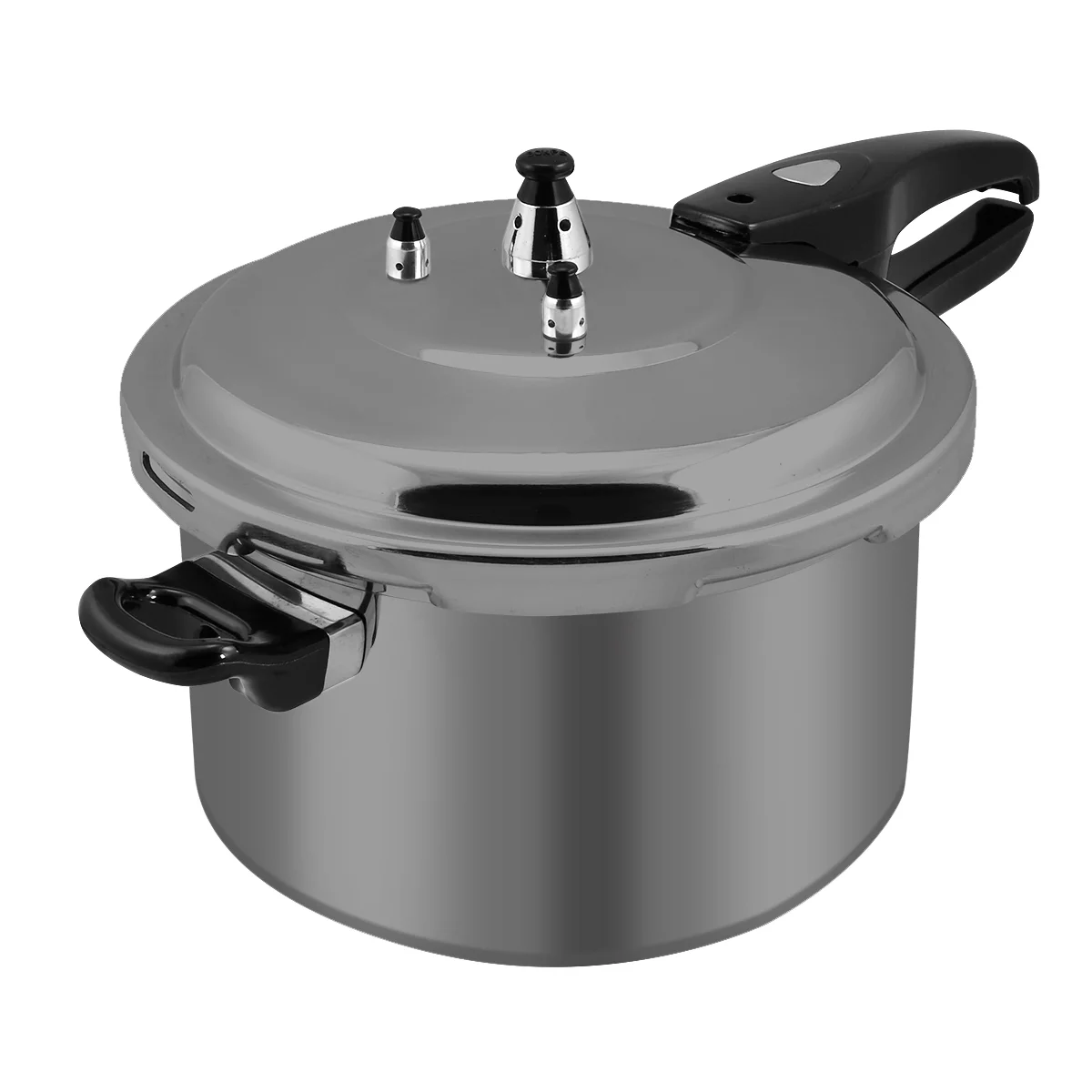 Barton 7.4 Quart Pressure Cooker Fast Cooker Pot Pressure Regulator Hard-Anodized Titanium Matte