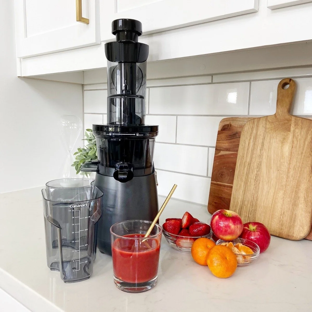 Cuisinart Easy Clean Slow Juicer