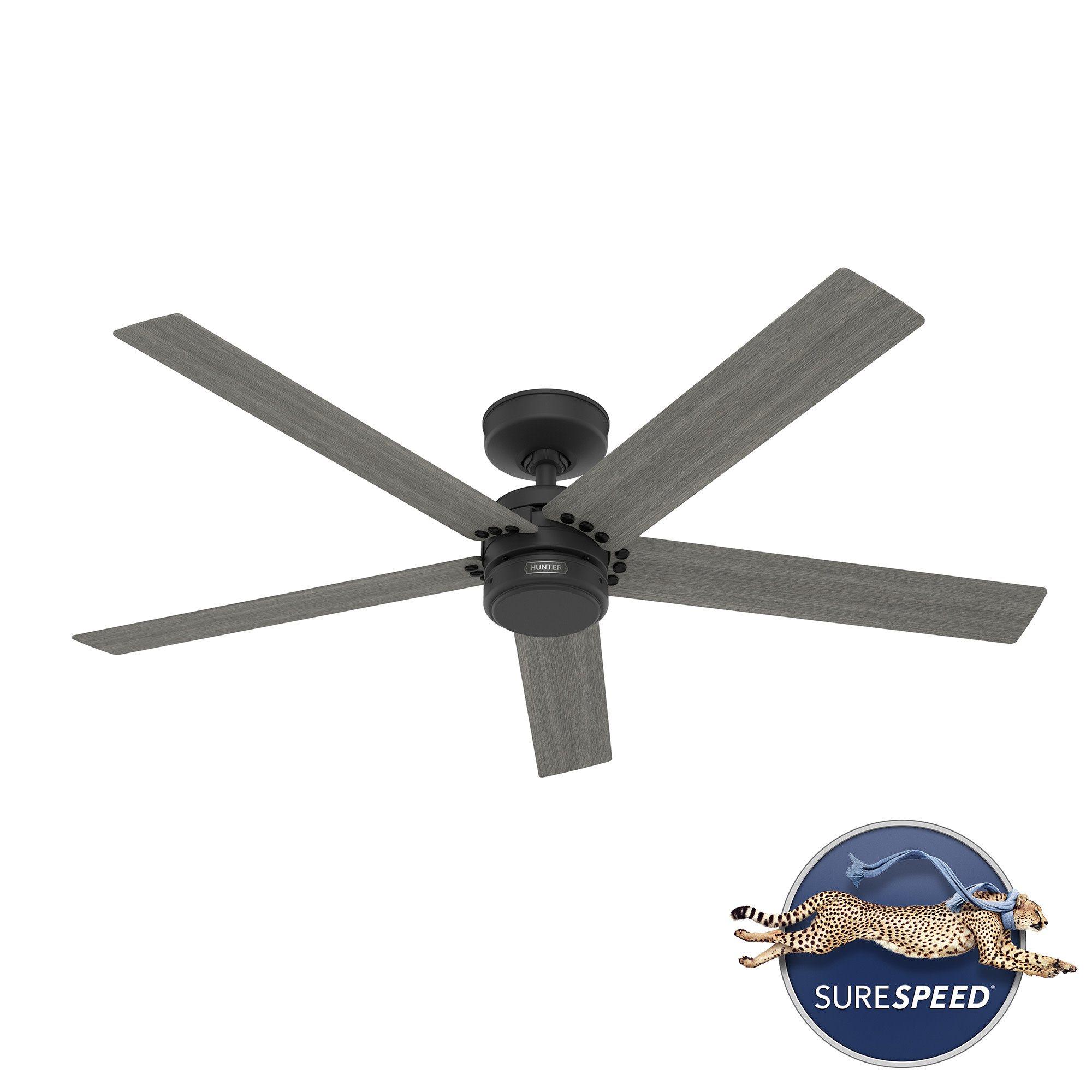 Hunter Burton 52 Burton 52' 5 Blade Indoor / Outdoor Ceiling Fan - Black