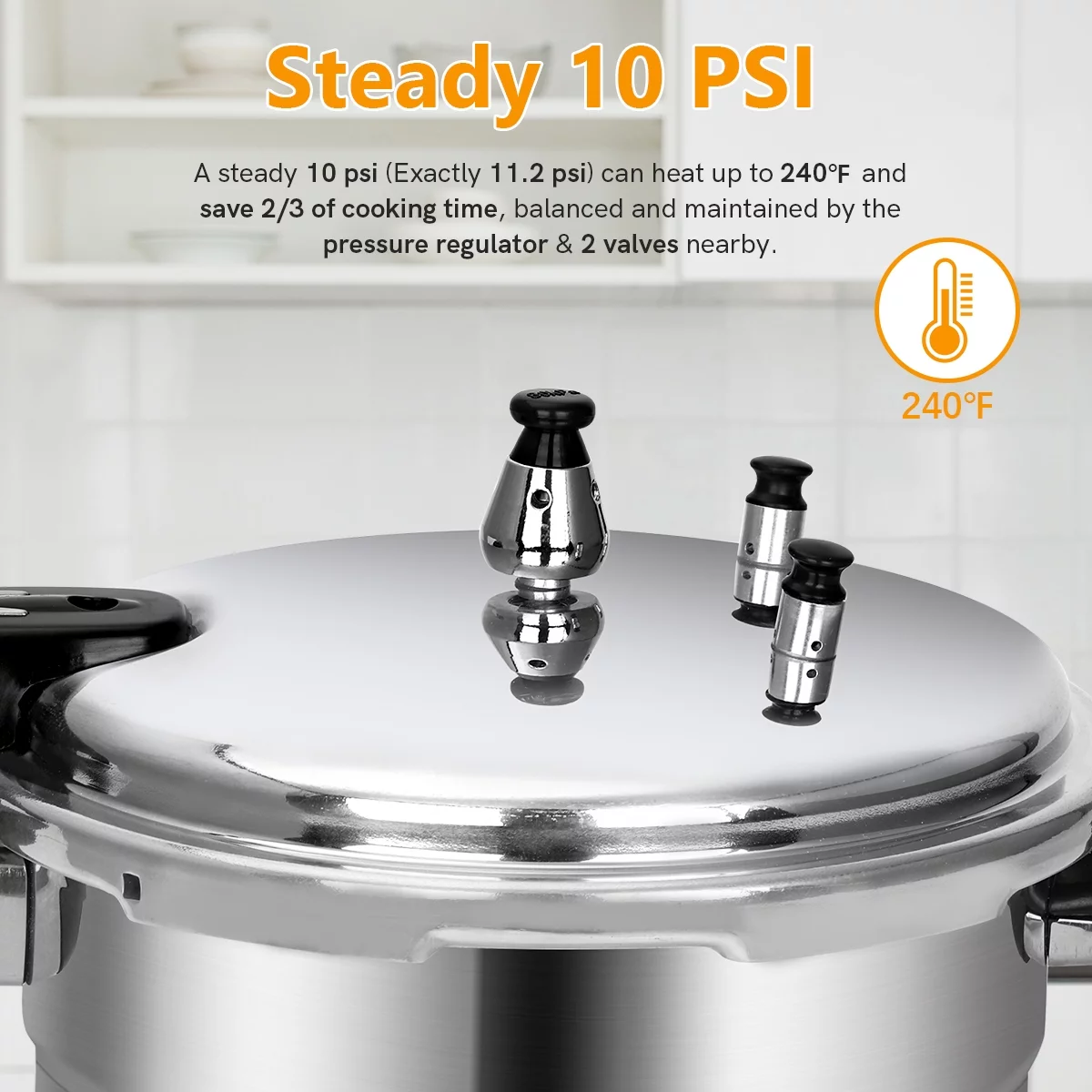 BreeRainz 5.3 Quart Pressure Cooker, 10 PSI Induction Compatible Pressure Canner w/ Honeycomb Stainless Steel Clad Base for Fast & Even Heating, Canning Rack Included