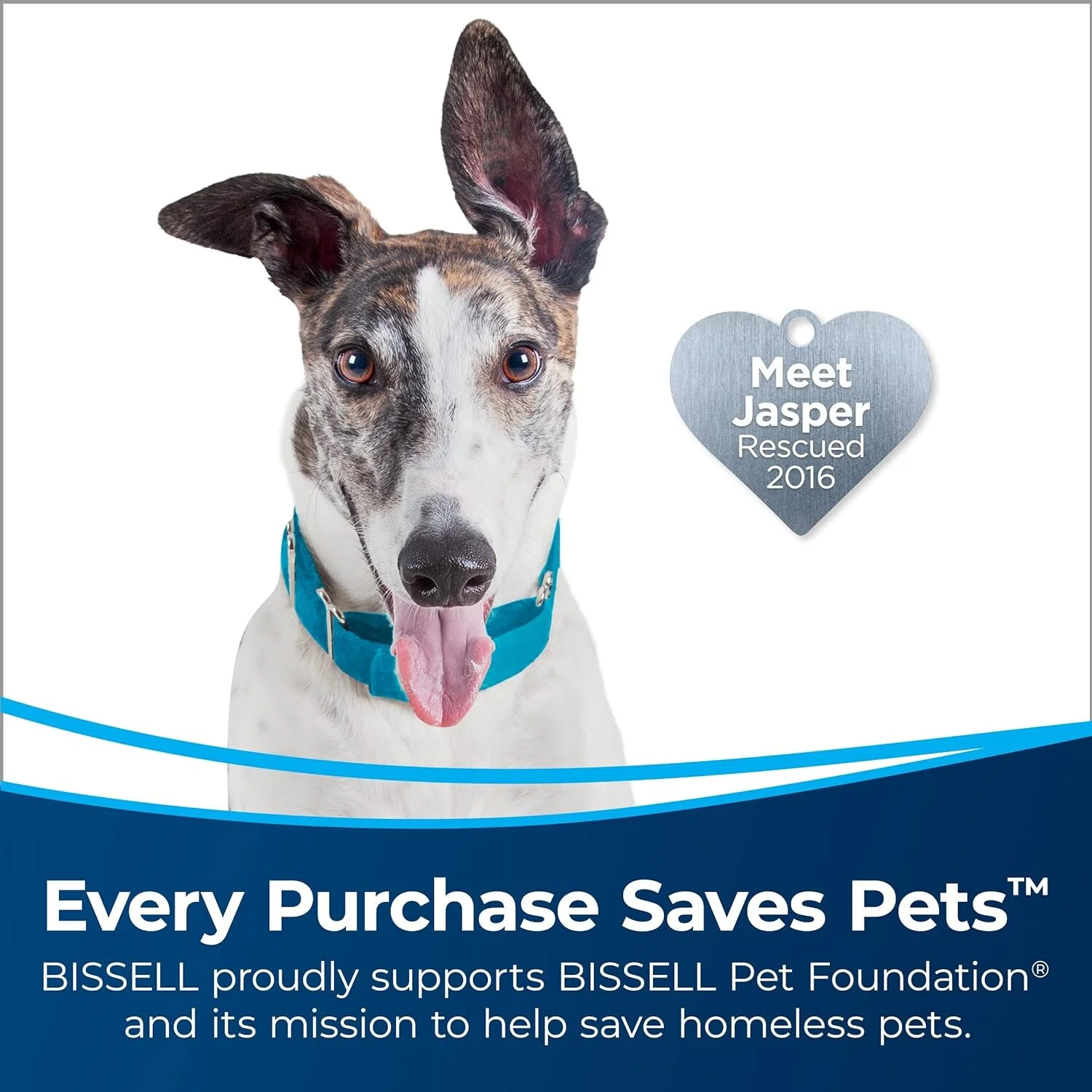 BISSELL Surface Sense Pet Multi-Surface Vacuum 28179 (Black)