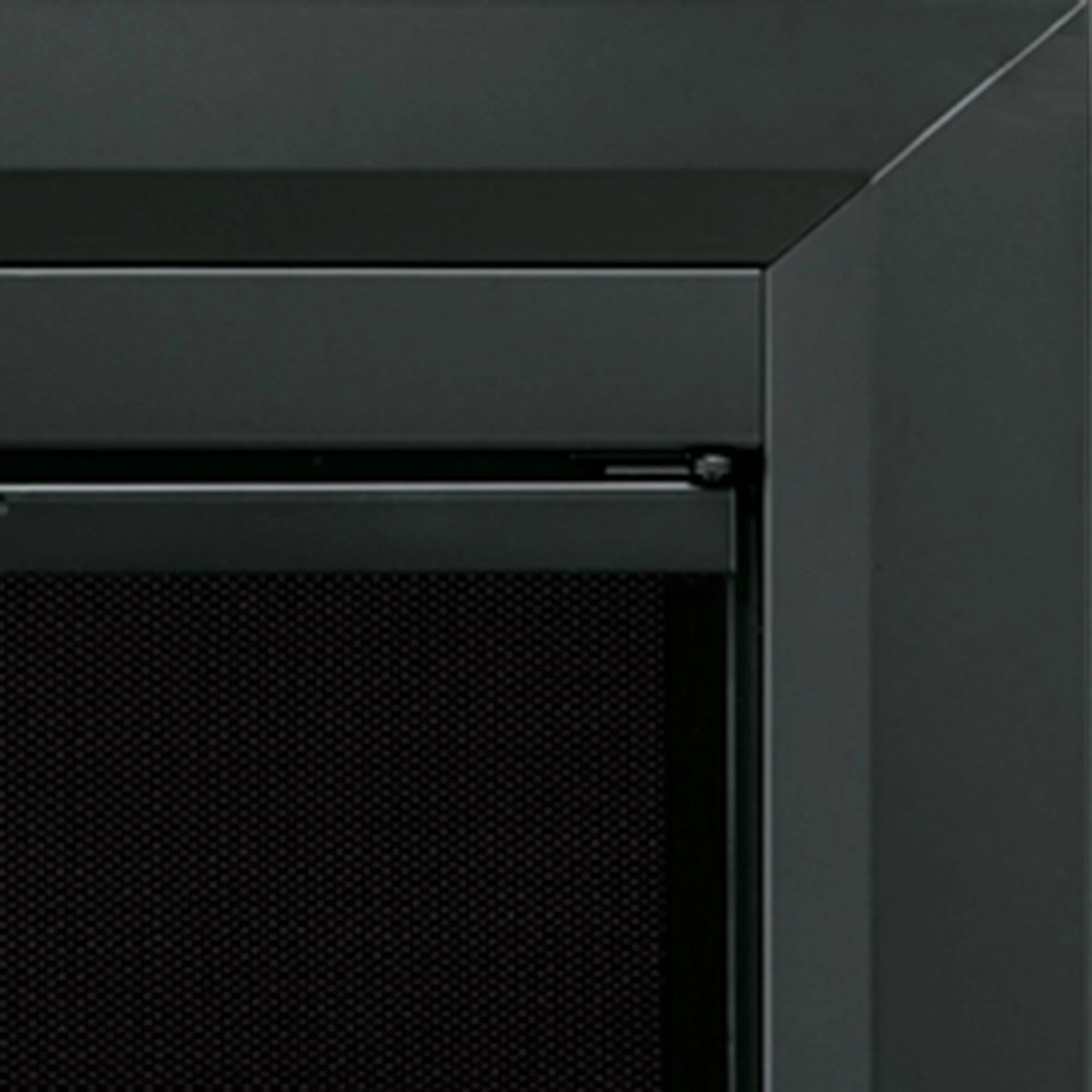 Carlisle Black Cabinet-Style Fireplace Doors with Smoke Tempered Glass- Large