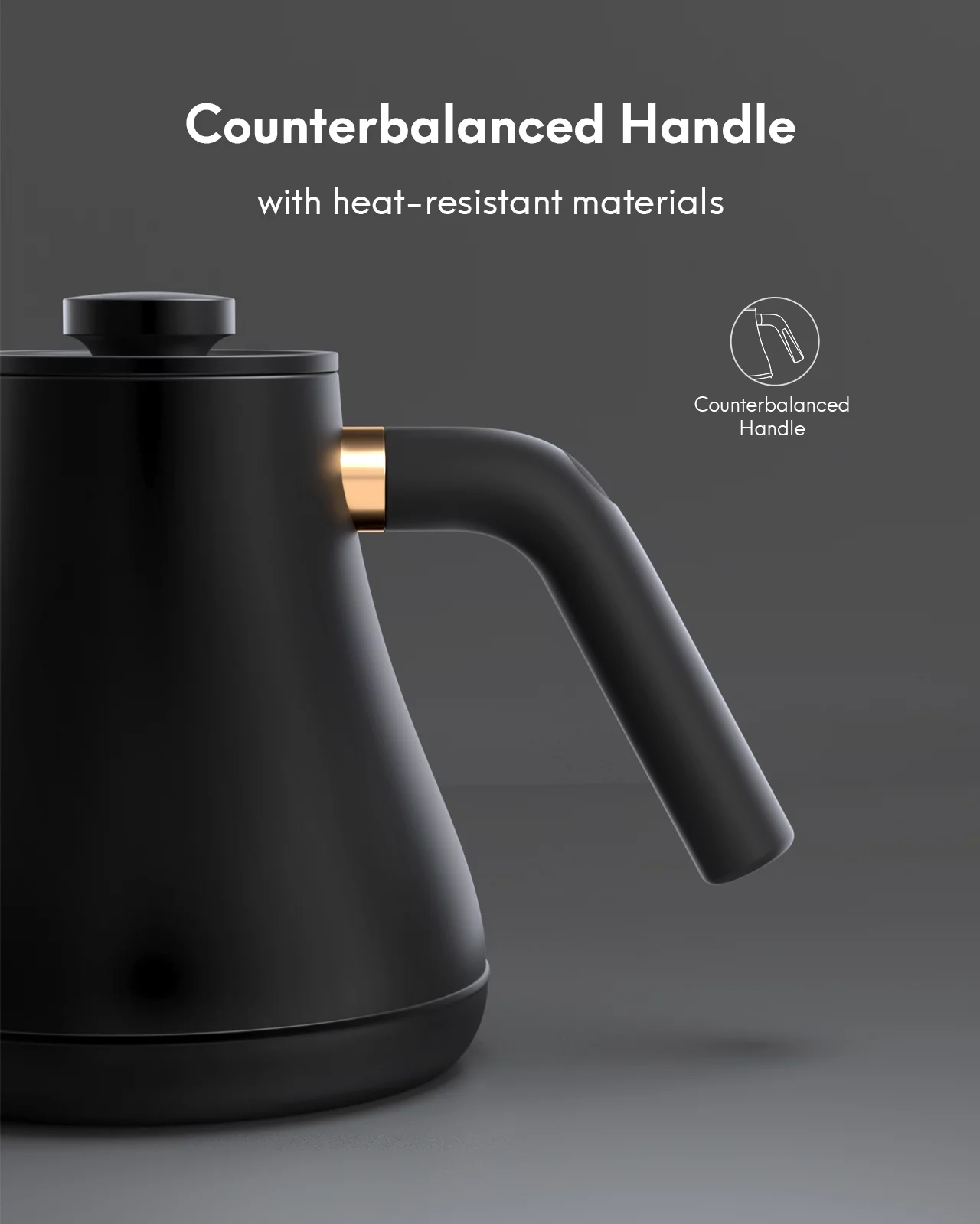 Gooseneck Kettle Temperature Control, 28Oz Pour Over Electric Kettle for Coffee & Tea, Safe Stainless Steel Inner, Black