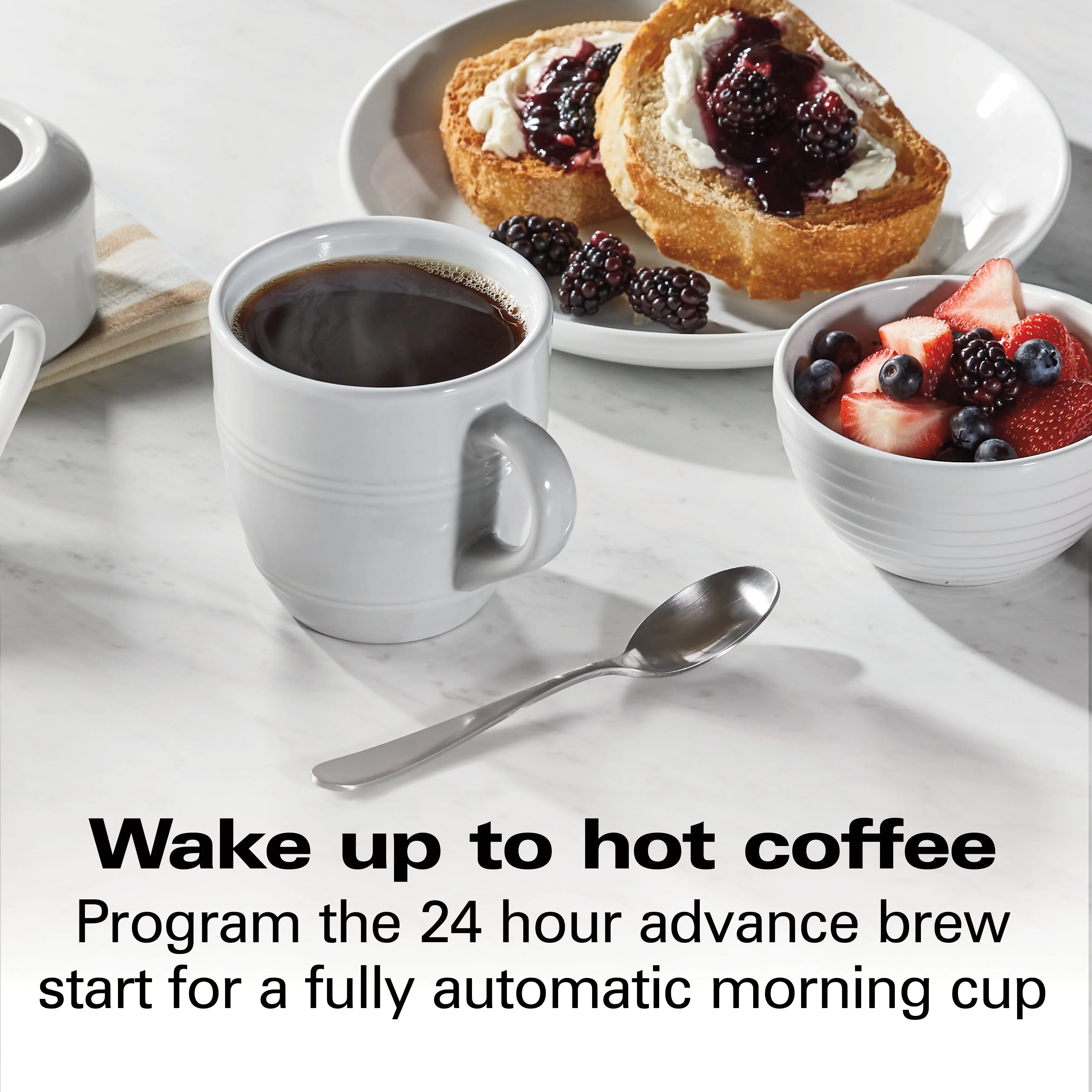 Hamilton Beach Professional Programmable Coffee Maker, 12 Cups, 60 fl. oz. Reservoir Capacity, 49500
