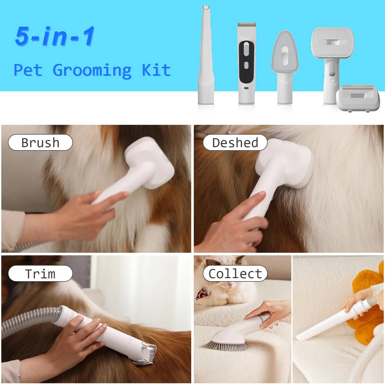 Bossdan Pet Grooming Kit & Vacuum, 11KPa Pet Groomer Vacuum Suction, 5 in 1 Dog Vacuum, 2L Dustbin for Dogs, Cats
