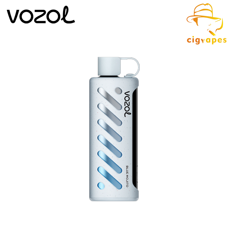 Vozol GEAR SHISHA 25000 Disposable Vape