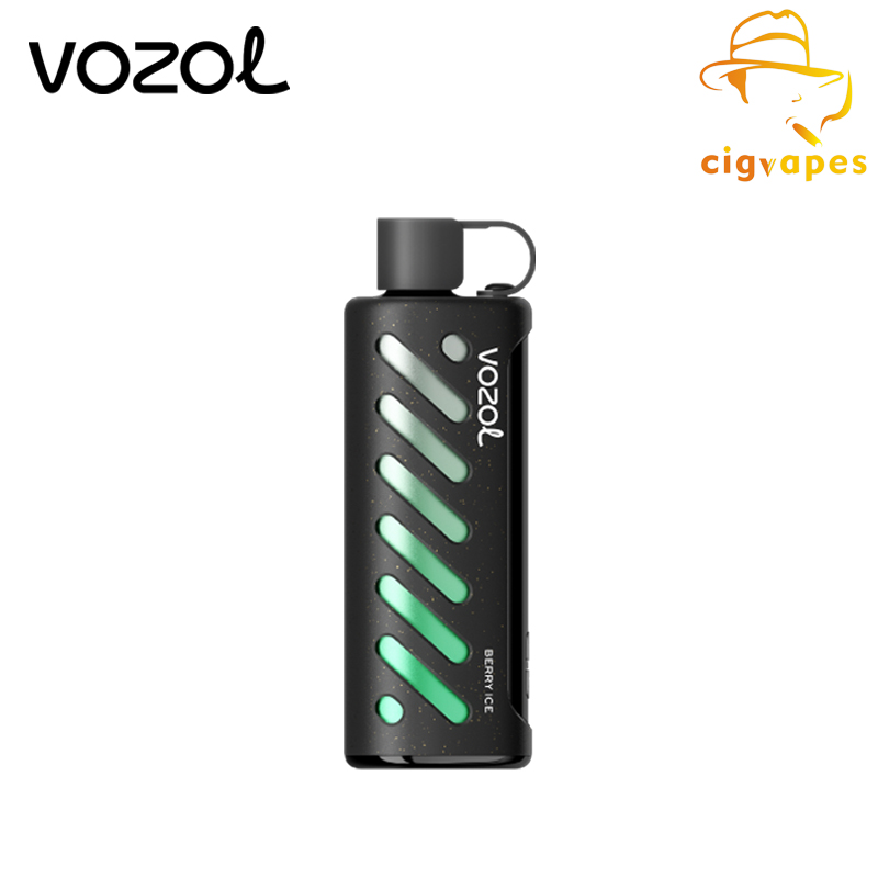 Vozol GEAR SHISHA 25000 Disposable Vape