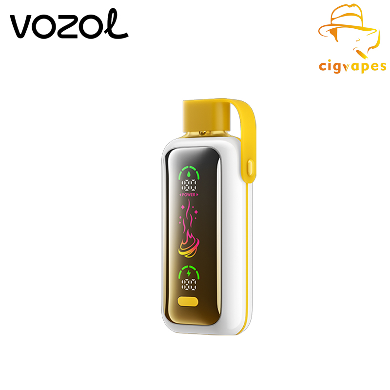 Vozol Star 20000 PUFF Disposable Vape