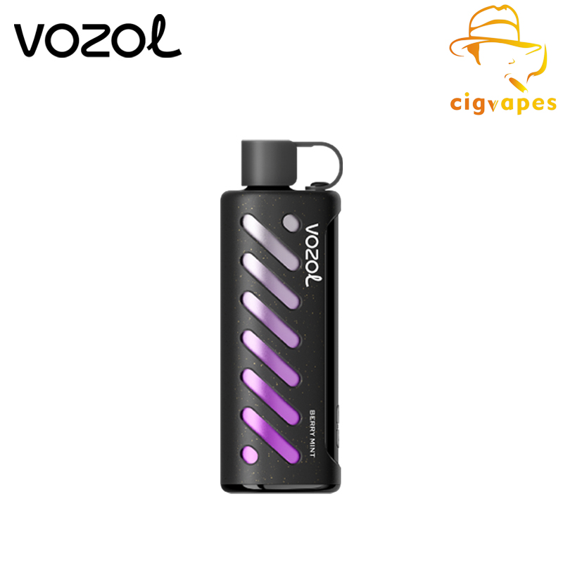 Vozol GEAR SHISHA 25000 Disposable Vape