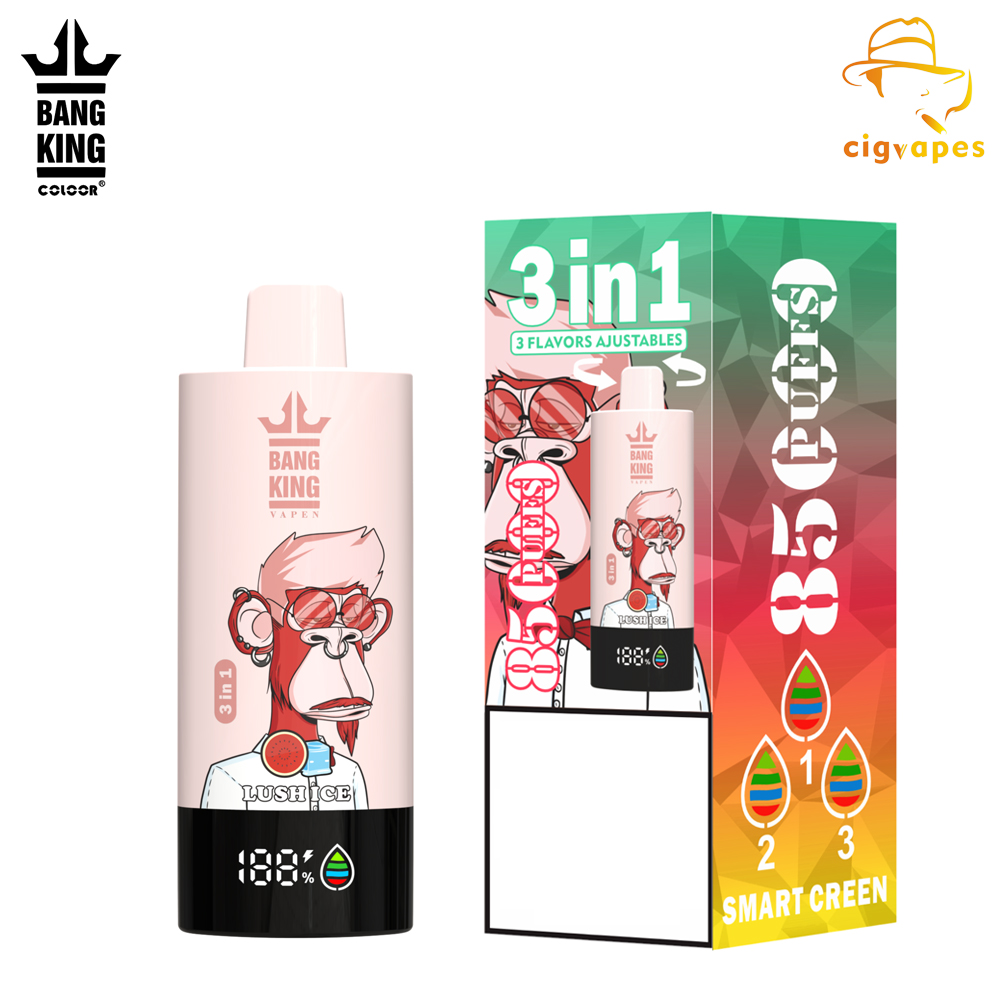 Bang King 85000 Puffs 85k 3 in 1 Options Newest Original Rechargeable LCD Display Disposable Vape Great One BangKing Vapes