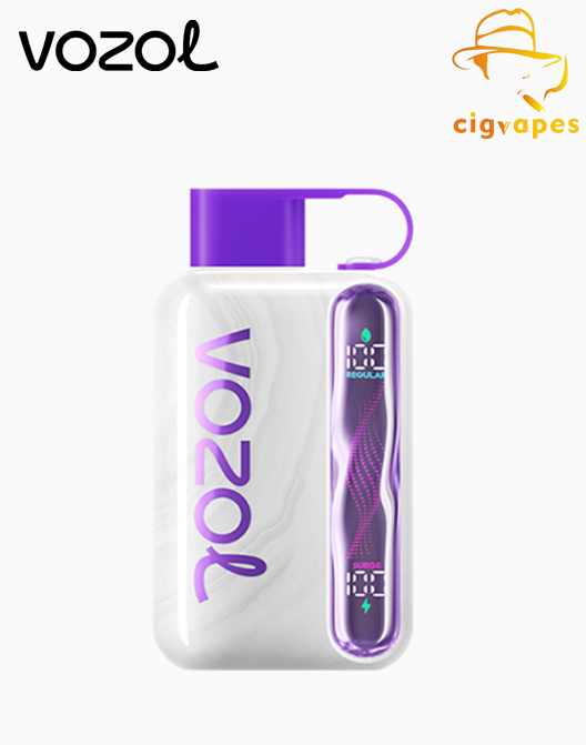 EU Warehouse Vozol Star 40000 Puff 40k Disposable Vape Dual Mode With Wavy Scree