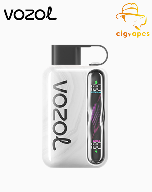 Vozol Star 40000 Puff 40k Disposable Vape Dual Mode With Wavy Scree