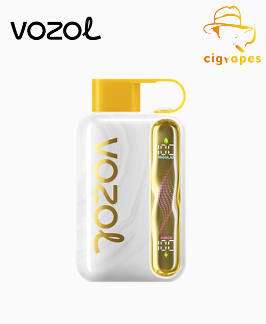 EU Warehouse Vozol Star 40000 Puff 40k Disposable Vape Dual Mode With Wavy Scree