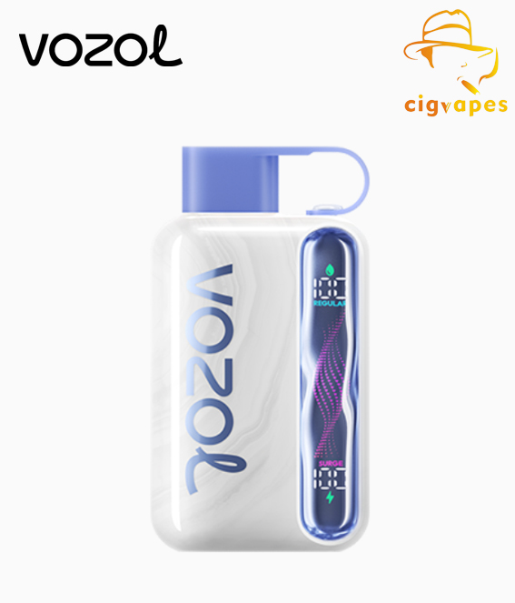 EU Warehouse Vozol Star 40000 Puff 40k Disposable Vape Dual Mode With Wavy Scree