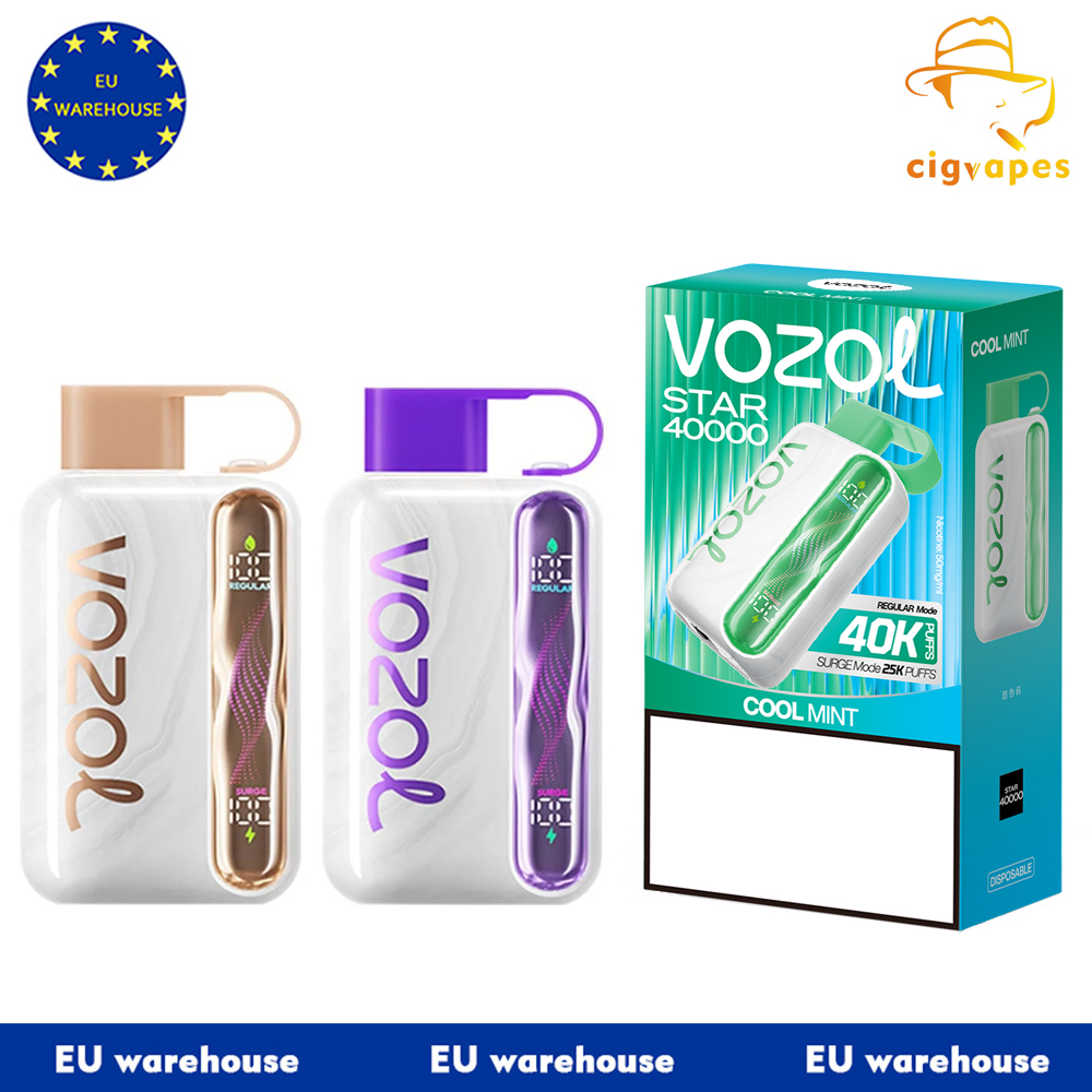 EU Warehouse Vozol Star 40000 Puff 40k Disposable Vape Dual Mode With Wavy Scree