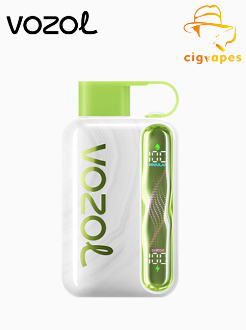 Vozol Star 40000 Puff 40k Disposable Vape with Wavy Screen