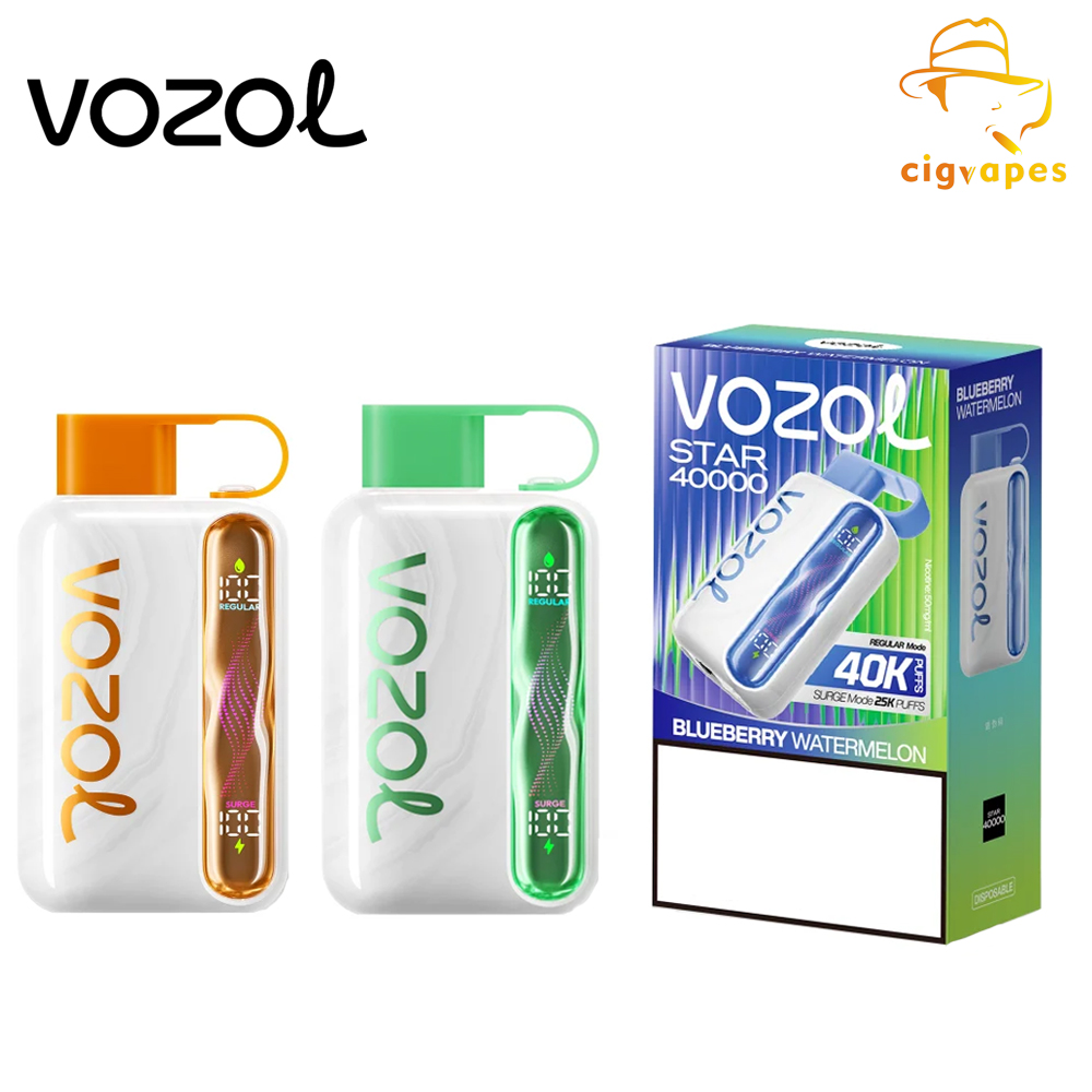 Vozol Star 40000 Puff 40k Disposable Vape with Wavy Screen